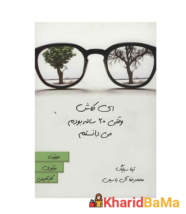 کتاب ای کاش وقتی 20 ساله بودم کتاب ای کاش وقتی 20 ساله بودم می دانستم اثر تینا سیلیگ