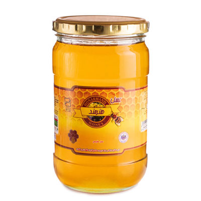 عسل طبیعی هنرمند - 500 گرم
