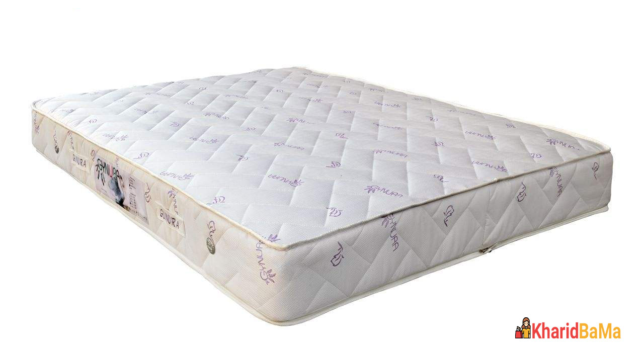 تشک ژینورا مدل Gynura Bonnel